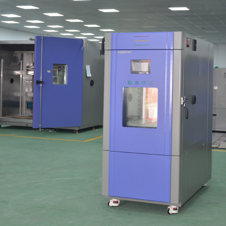 �ߵ���ʪ��������