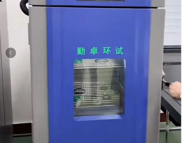 �ߵ���������