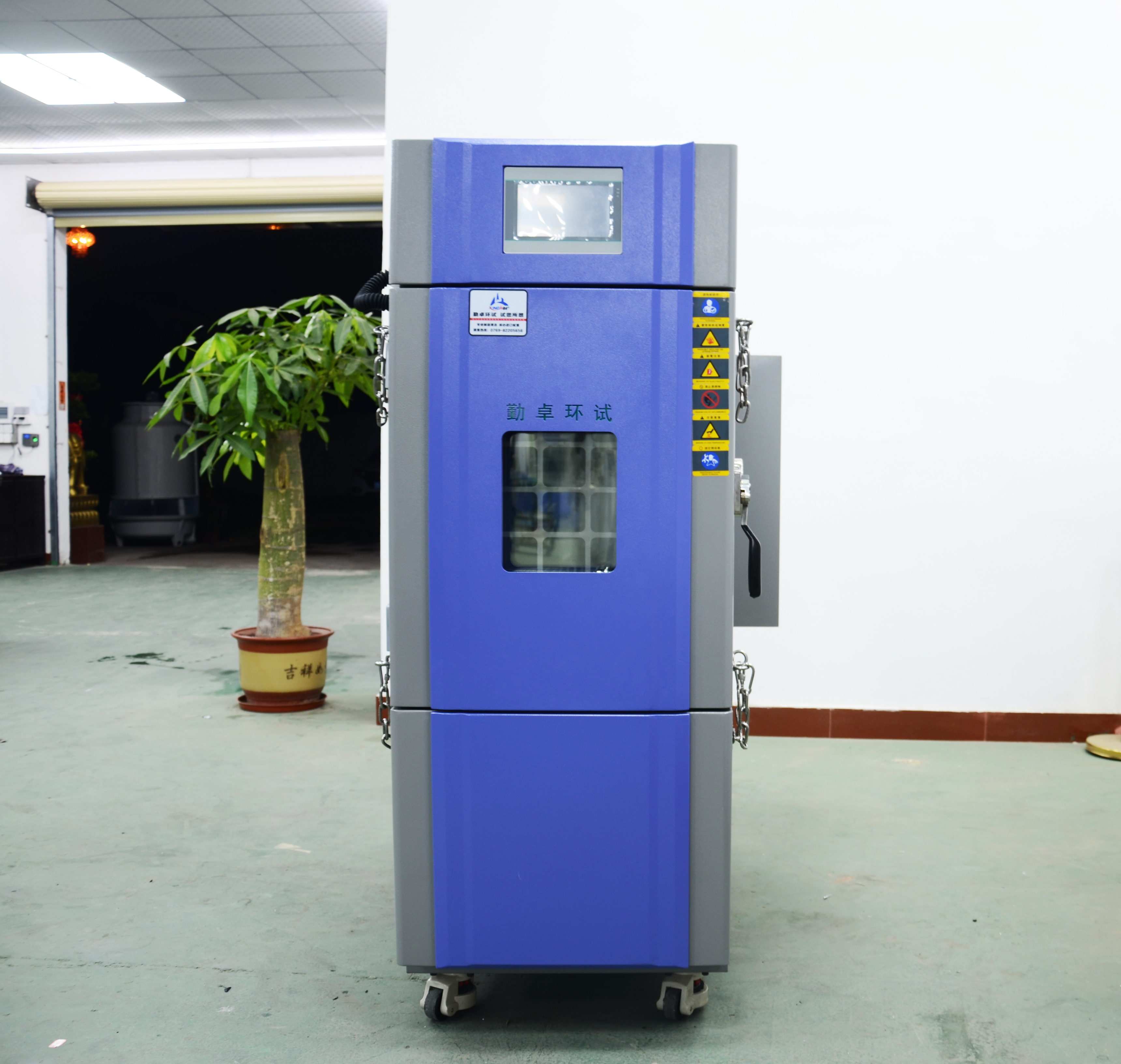 �����ͺ��º�ʪ������