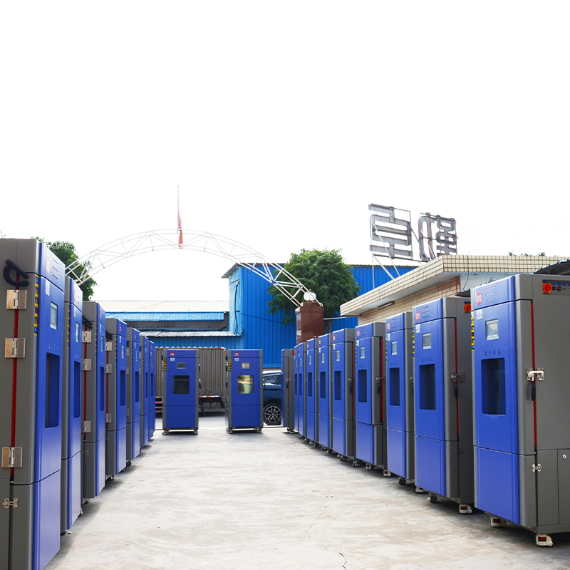 �ߵ���ʪ��������