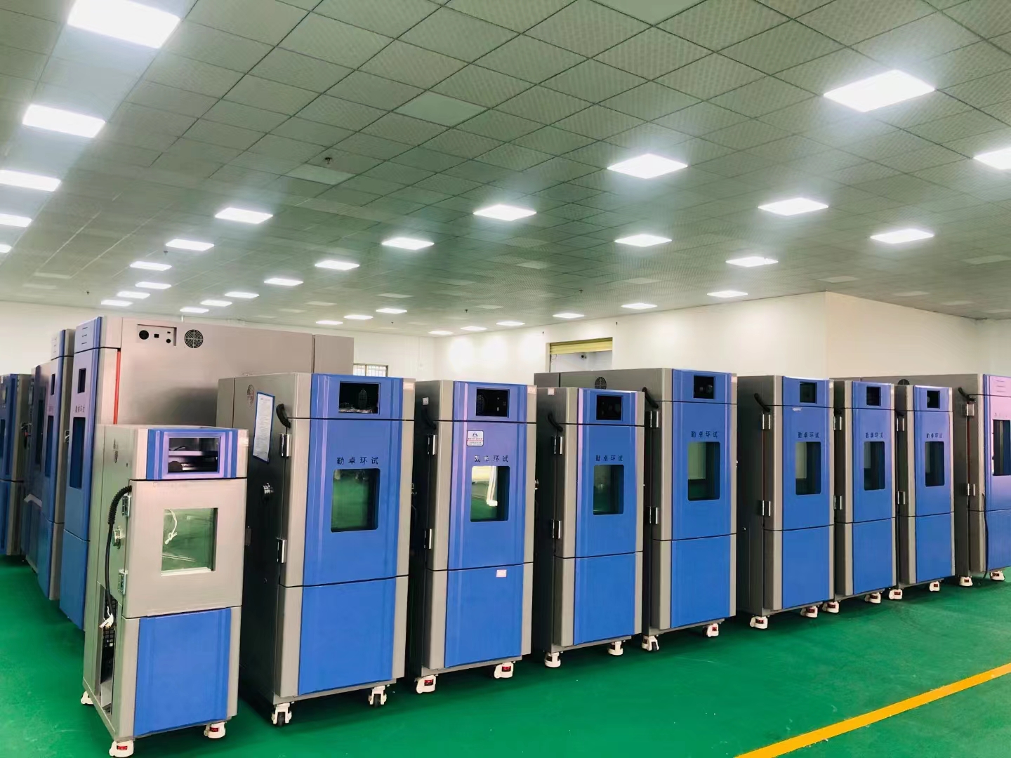 �ߵ���ʪ��������