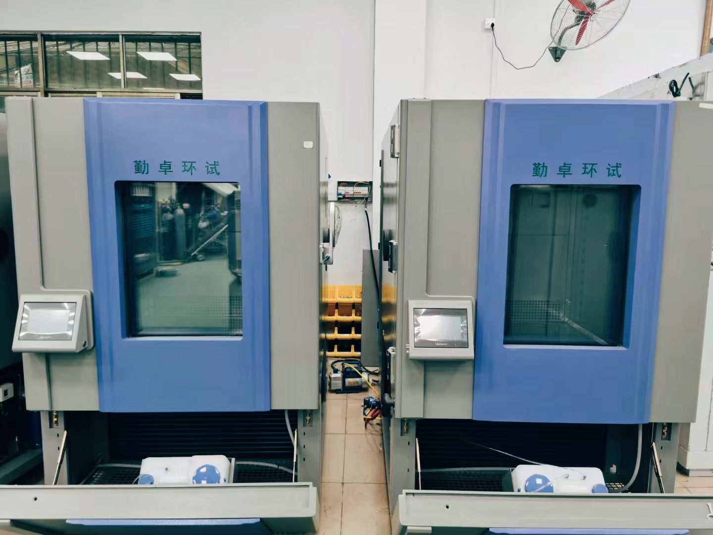 �ߵ���ʪ��������