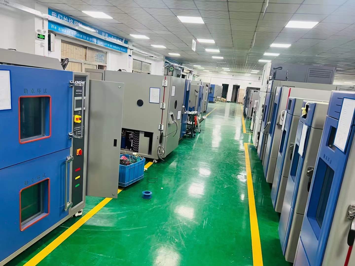 ���¸�ʪ������