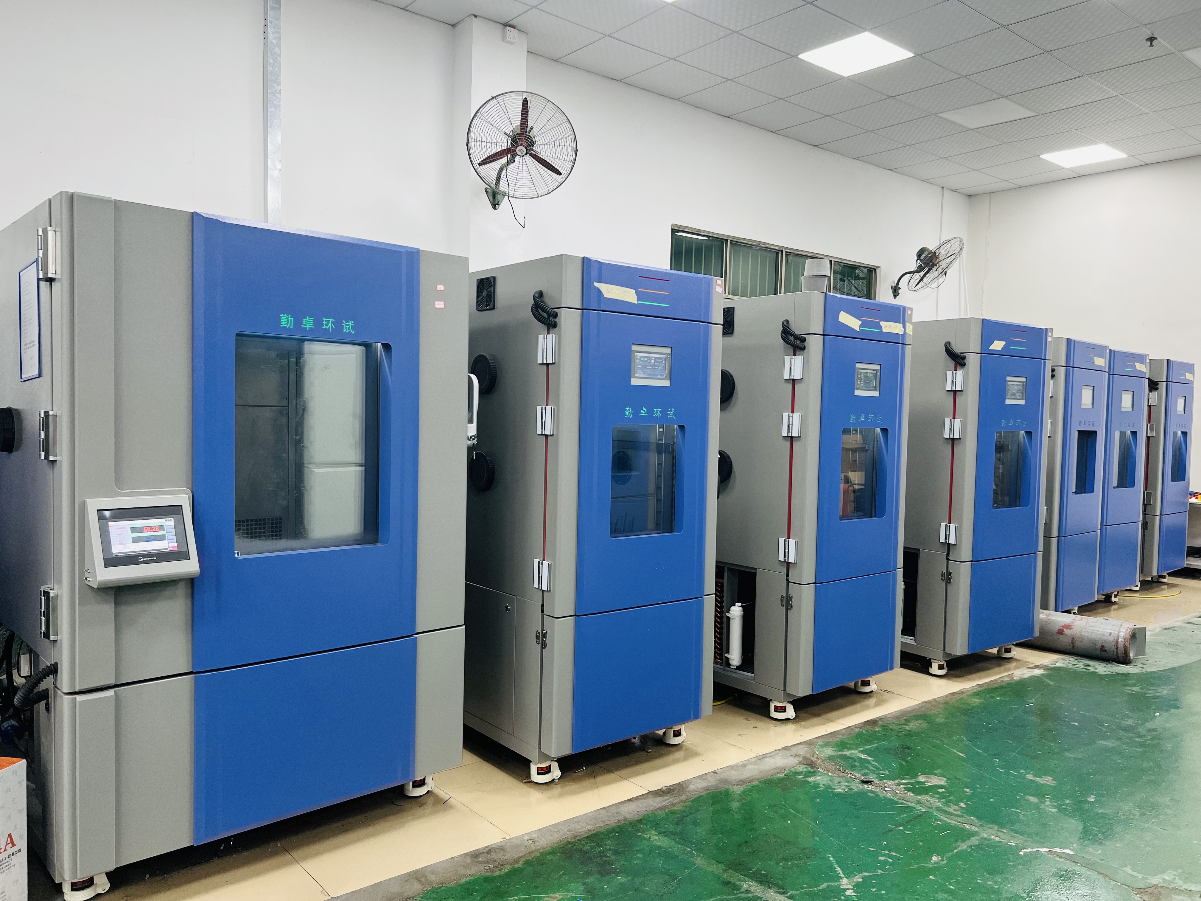 �ߵ���������