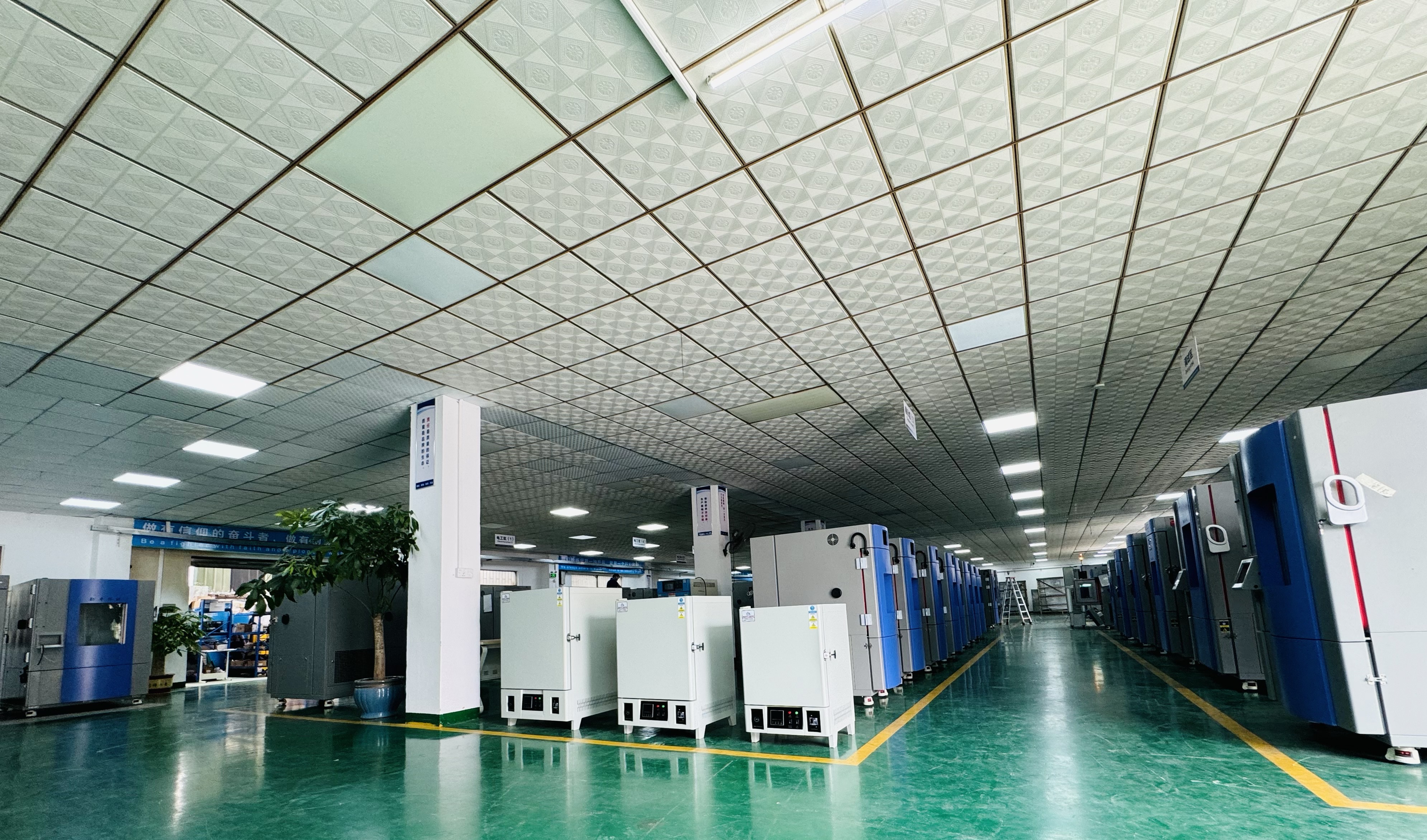 �ߵ���ʪ��������