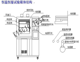 �ߵ��������