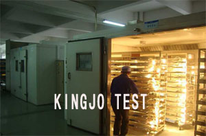 步入式高低温试验室，电子电工专用系列
