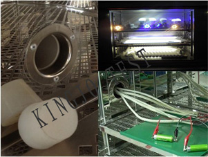 LED���ר�ú��º�ʪ������