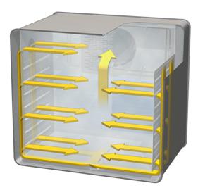 ���º�ʪ������