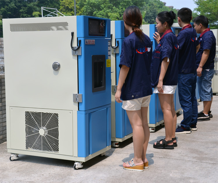 ���º�ʪ������